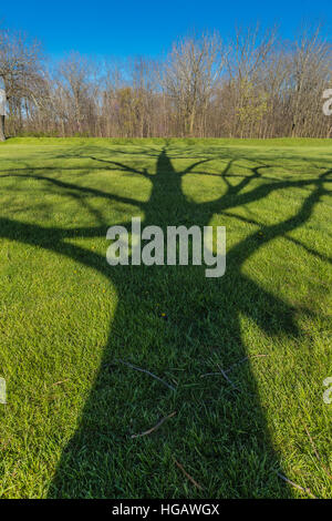 Ombre di albero che attraversa il paesaggio del Tumulo città di gruppo, dove una civiltà di inizio gli indiani americani hanno prosperato circa duemila anni fa, ora preserv Foto Stock