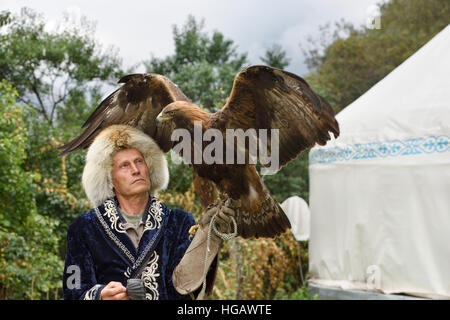 Trainer professionale azienda Golden Eagle con ali spiegate a Sunkar Raptor Centre Almaty Kazakhstan Foto Stock