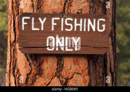 La pesca con la mosca segno della Ponderosa pine (Pinus ponderosa), Metolius paesaggistico e selvaggio fiume Deschutes National Forest, Oregon Foto Stock