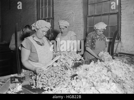 Rag la cernita presso la American carta da scrivere Co., 1936. Foto Stock