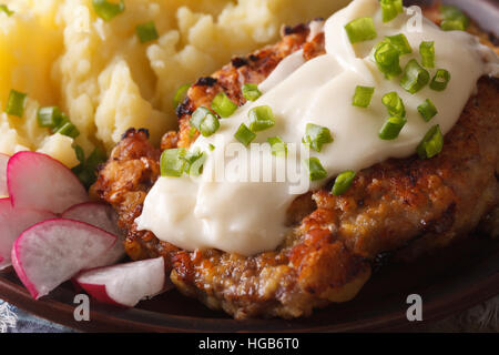 Paese Bistecca di fritte e sugo bianco con purè di patate su una piastra orizzontale di macro Foto Stock