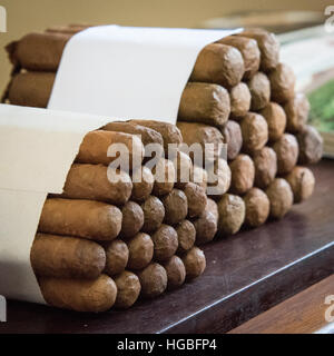 Bundle di sigari cubani, Vinales, Cuba Foto Stock