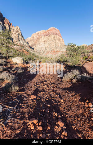 Desert trail verso Oak Creek in Red Rock National Conservation Area vicino a Las Vegas in Nevada. Foto Stock