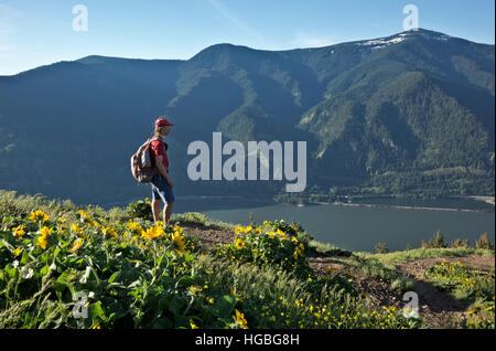 WASHINGTON - escursionista affacciato sul fiume Columbia dal cane Mountain Trail in Columbia River Gorge National Scenic Area. Foto Stock