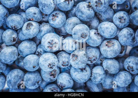 Sfondo blu di ripe di mirtilli freschi, mirtilli neri Foto Stock