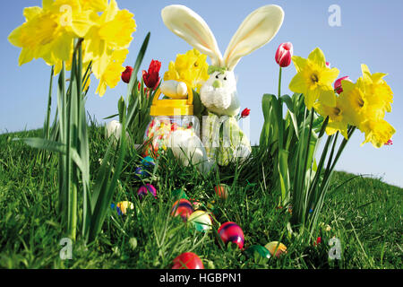 Il cioccolato coniglietto di Pasqua su erba con narcisi e uova colorate Foto Stock