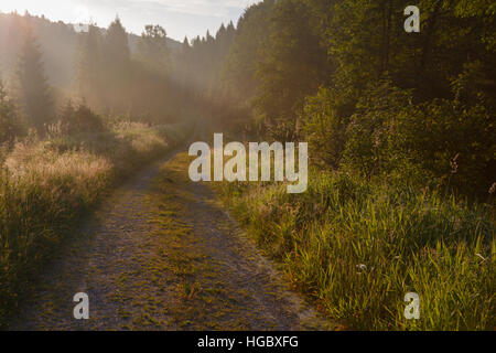 Estate sunrise nella foschia sopra ripida strada di terra nelle vicinanze Muczne, Bieszczady Ridge, Polonia, Europa Foto Stock