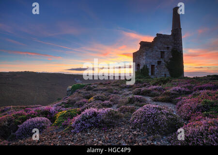 Tramonto al motore Tywarnhayle vicino casa Porthtowan in Cornovaglia. Foto Stock