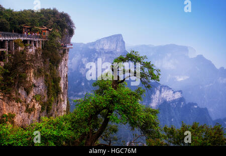 Il Cliff Walk sul vertice di Tianmen shan o il monte tianmen nella città di Zhangjiajie nella provincia del Hunan in Cina. Foto Stock