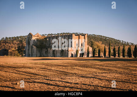 Resti della Abbazia Cistercense di San Galgano, situato vicino a Siena, Italia. Foto Stock