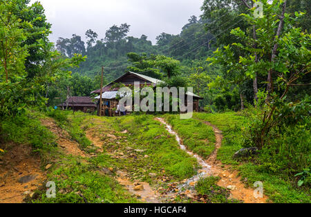 Azienda agricola capanna in un remoto villaggio vietnamita. piccola pioggia torrenti che scorrono lungo i sentieri nella parte anteriore. Foto Stock