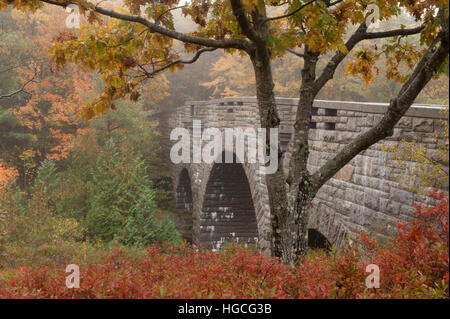 Originale ponte di pietra nel Parco Nazionale di Acadia che è una parte originale di strada carrozzabile di interesse storico. Foto Stock