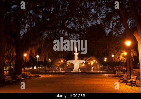 Forsyth Fontana è circondato da luci e alberi di alto fusto di notte a Savannah, Georgia, Stati Uniti d'America Foto Stock