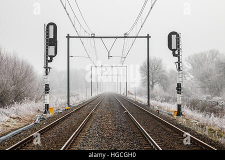 I binari ferroviari con semafori e linee aeree su un nuvoloso e nebbioso giorno in inverno, Utrecht, Paesi Bassi. Foto Stock