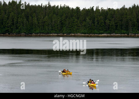 I passeggeri della nave da crociera Safari adoperano il kayak da mare a Reid ghiacciaio nel Parco Nazionale di Glacier Bay. Godetevi una serata al di ancoraggio e mattina trascorso p Foto Stock