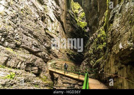 Percorso a piedi attraverso la gola Breitachklamm, Kleinwalsertal vicino a Oberstdorf, Oberallgäu, Baviera, Germania Foto Stock