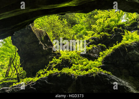 Breitachklamm gorge, Kleinwalsertal vicino a Oberstdorf, Oberallgäu, Baviera, Germania Foto Stock