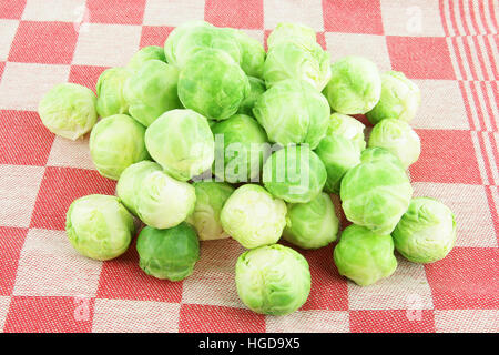 Freschi cavoli di Bruxelles (Brassica oleracea) sul retro di un tovagliolo colorato. Foto Stock