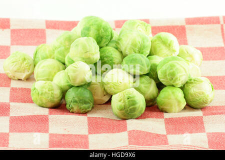 Freschi cavoli di Bruxelles (Brassica oleracea) sul retro di un tovagliolo colorato. Foto Stock