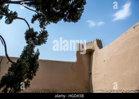 Pareti del più antico giardino persiano in Iran denominata Fin Giardino (Bagh-e FIN), che si trova nella città di Kashan Foto Stock