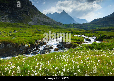 Passo dello Julier nei Grigioni Foto Stock
