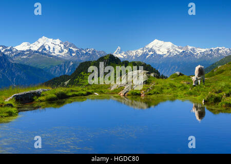 Alpi svizzere, Mischabel, Cervino, il Weisshorn, Canton Vallese, Svizzera Foto Stock