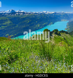 Il Brienzer Rothorn montagna, Oberland bernese, Svizzera Foto Stock