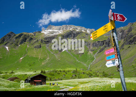 Berna Oberland Bernese, Birg, Blumental Foto Stock