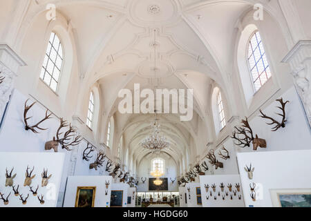 In Germania, in Baviera, Monaco di Baviera, il Tedesco Museo della caccia e della pesca (Deutsches Jagd-Und Fischereimuseum) Foto Stock