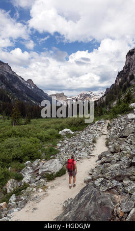WY01999-00...WYOMING - escursionista sulla cascata Canyon Trail nel Parco Nazionale di Grand Teton. (MR# S1) Foto Stock