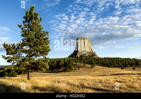 WY02275-00...WYOMING - Devils Tower vista dal crinale Joyner Loop Trail in Devils Tower National Monument. Foto Stock