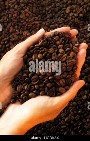 I chicchi di caffè tazza in una donna di mani Foto Stock