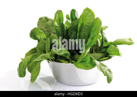 Baby spinaci in una ciotola bianco Foto Stock