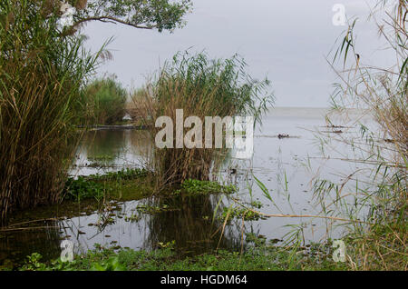 Visualizzare il paesaggio di Pakpra canal al divieto di Pra Pak di villaggio di pescatori nel tempo del tramonto a Phatthalung provincia del sud della Thailandia. Foto Stock