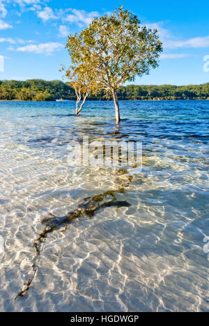 Lago McKenzie, Isola Fraser Foto Stock