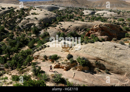 Escursionista inclinato su strati di roccia Dinosaur National Monument Utah Foto Stock