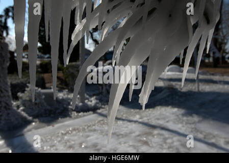 Salonicco, Grecia, 8 gennaio 2017. Grecia Meteo. Acqua ghiaccioli formata su albero brances. Al di sotto delle temperature di congelamento continua a spazzare la Grecia. La temperatura è scesa a 7 gradi Celsius in la seconda città più grande della Grecia di Salonicco. © Orhan Tsolak / Alamy Live News Foto Stock