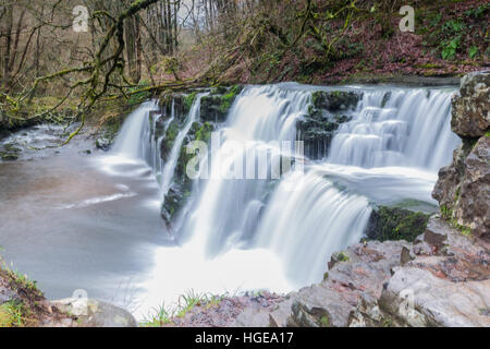 Brecon Beacons, Wales, Regno Unito. 8 gennaio, 2016. Le cascate in Brecon Beacons 'cascata paese", vicino Ystradfellte, South Wales, erano in piena portata a seguito delle recenti piogge, oggi 8 gennaio 2017. Credito: Chris Stevenson/Alamy Live News Foto Stock