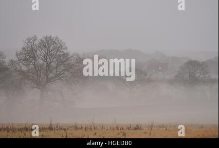 Misty inverno mattina Foto Stock