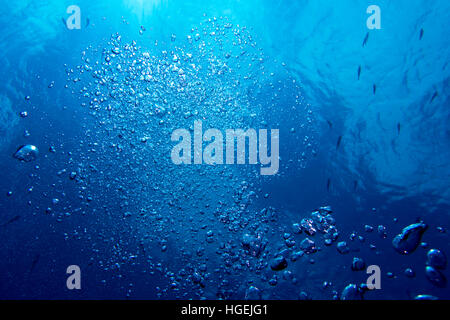 Bolle da un sommozzatore salgono verso la superficie in acqua blu Foto Stock