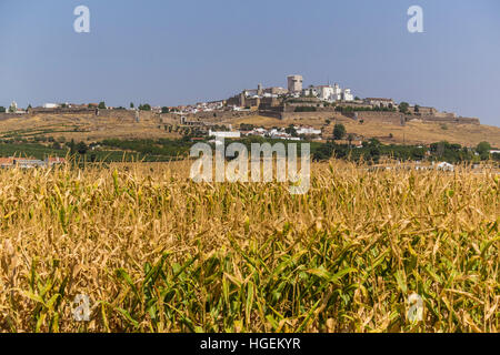 Un campo di mais si trova in primo piano con Estremoz, Portogallo nella distanza. T Foto Stock