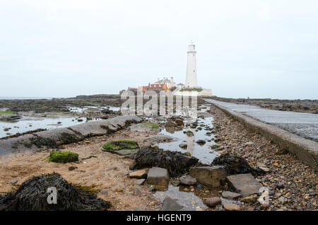 Le rocce e la Causeway che conduce a Santa Maria di Faro e Isola, Northumberland Foto Stock