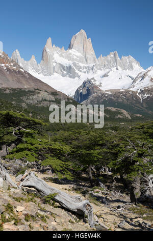 Vista del Monte Fitz Roy sulla Laguna de los Tres trail, El Chalten, Patagonia, Argentina, Sud America Foto Stock