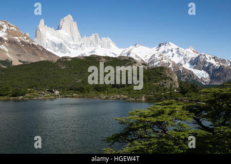 Vista del Monte Fitz Roy dalla Laguna Capri, El Chalten, Patagonia, Argentina, Sud America Foto Stock