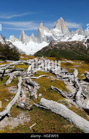 Vista del Monte Fitz Roy sulla Laguna de los Tres trail, El Chalten, Patagonia, Argentina, Sud America Foto Stock