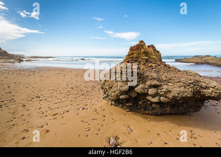 Cercato Legzira belle spiagge sulla costa del Marocco Foto Stock