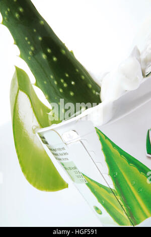 Aloe Vera lo yogurt e il pezzo di aloe vera Foto Stock