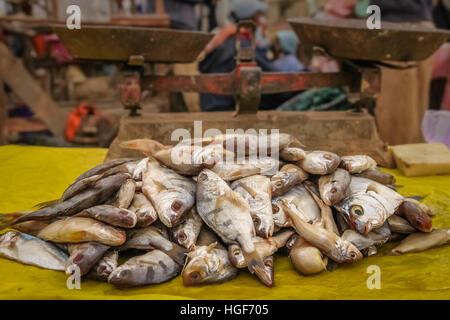 Pesce per la vendita in un mercato del Madagascar Foto Stock