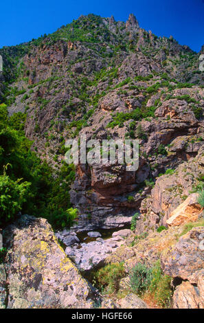 Valle del Golo, Corsica, Foto Stock