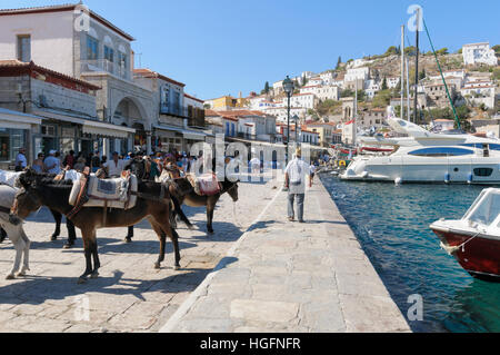 Muli in attesa per il trasporto di persone e bagagli, Hydra town, Hydra, Isole Saroniche, Grecia Foto Stock